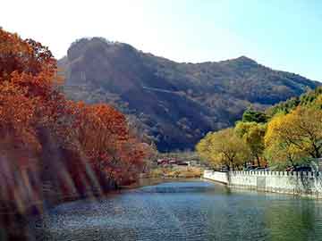 新澳天天开奖资料大全旅游团，汽油 价格